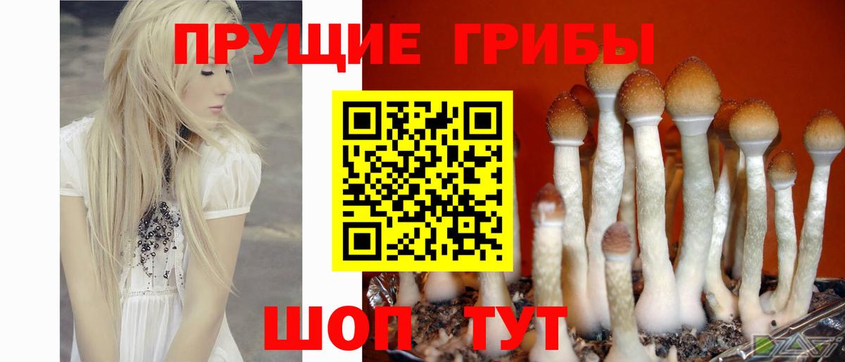 Псилоцибиновые грибы мухоморы  Вход с VPN  Белово 